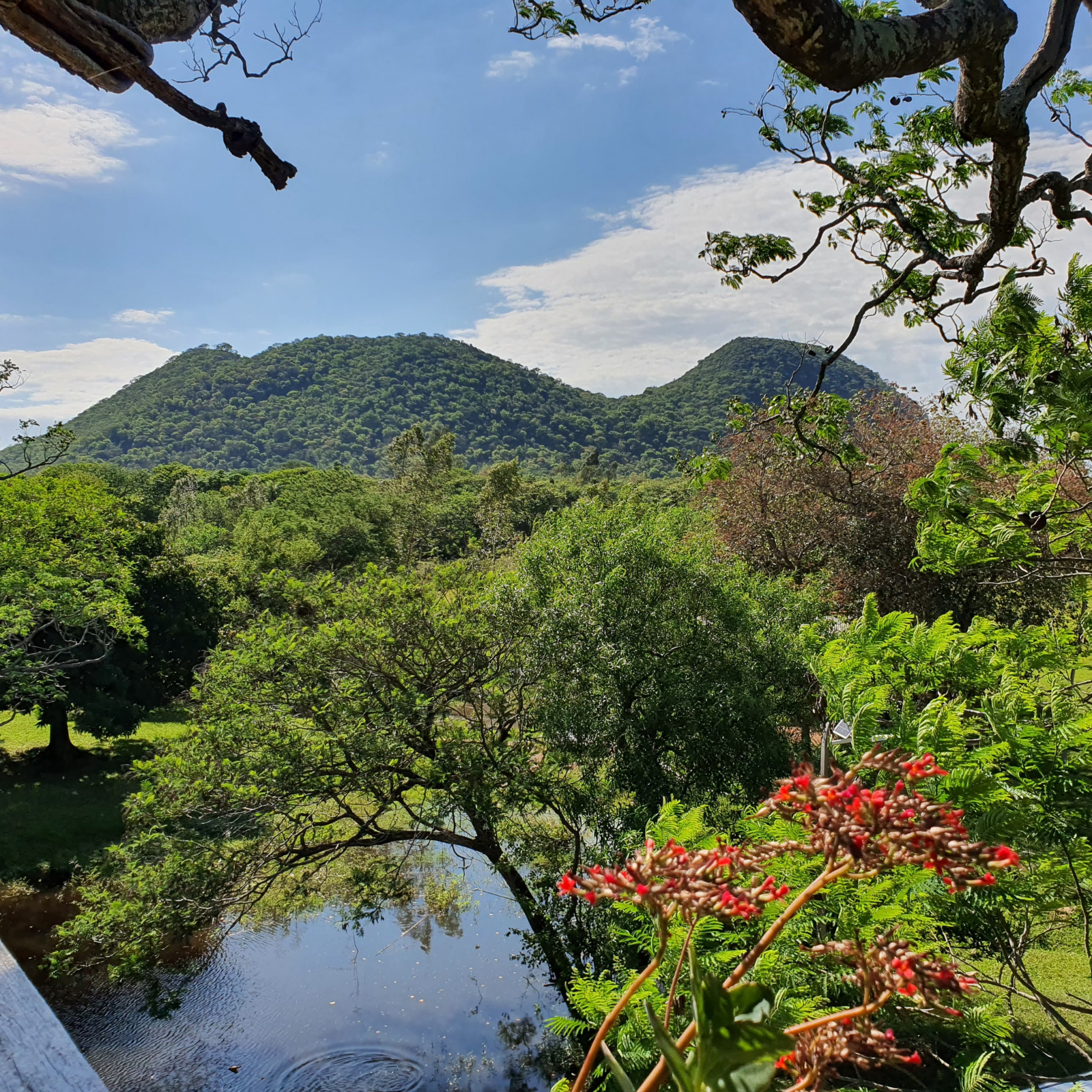 Paraguarí Imagenes panorámicas